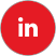 li icon